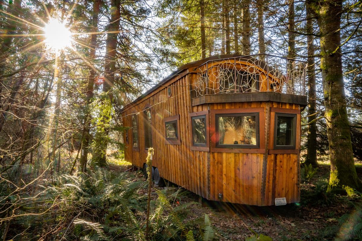 Handcrafted cedar cabin ADU nestled among tall evergreen trees
